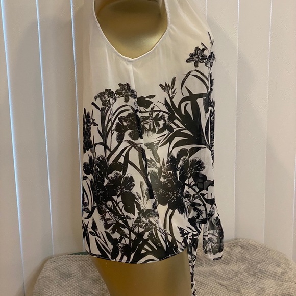 Le chateau tie sheer sleeveless blouse - Picture 2 of 5